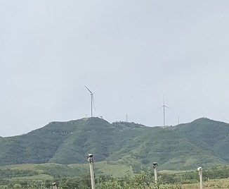 风电项目占用林地可行性报告