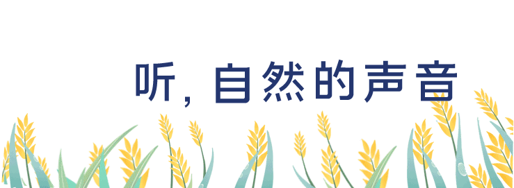 乐鱼在线登录官网(中国)leyuapp入口